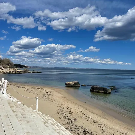 Magnifica La * Goudstrand